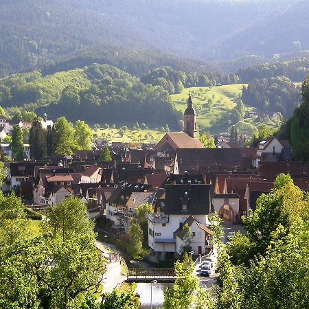 Ferienwohnung Am Hauskopf Oppenau Luaran gambar