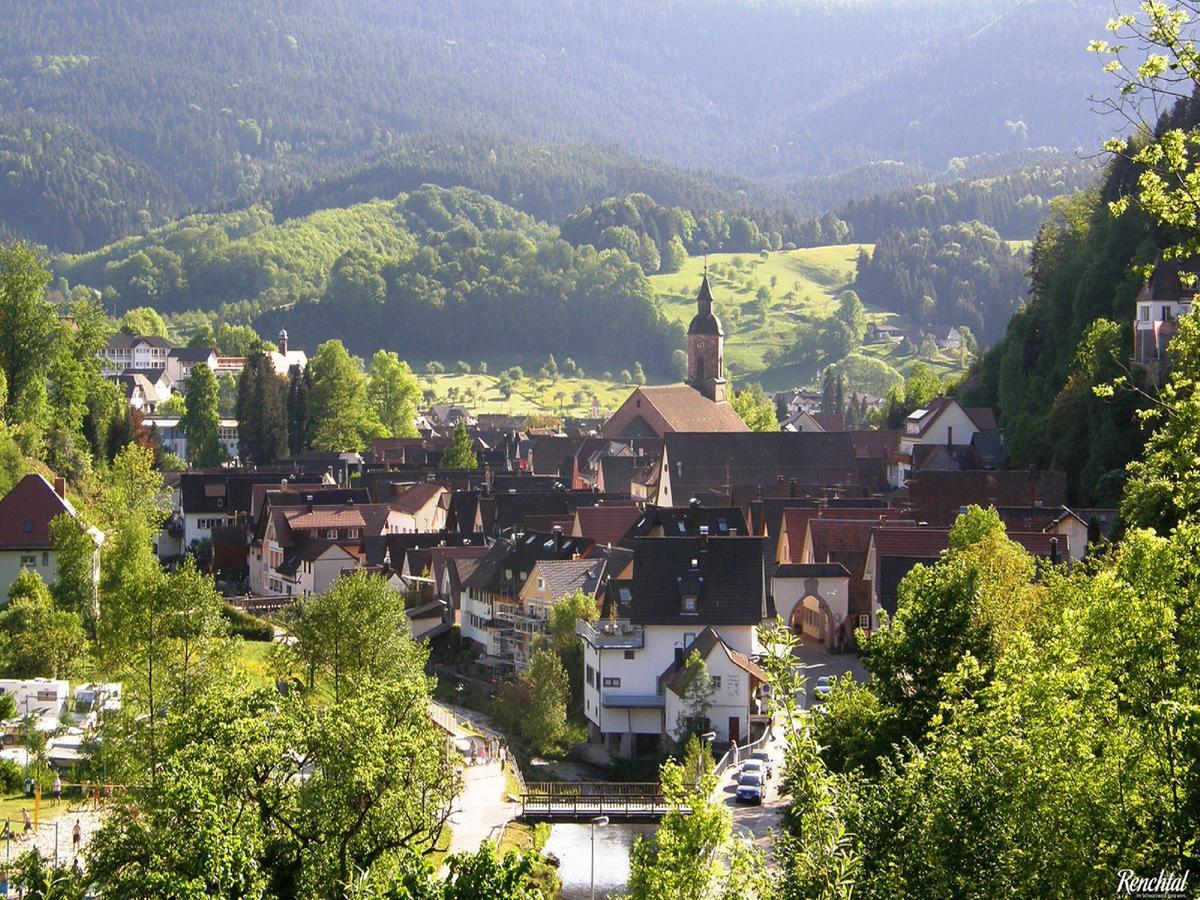 Ferienwohnung Am Hauskopf Oppenau Luaran gambar